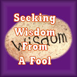 Seeking Wisdom From A Fool