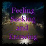 Feeling Or Seeking Knowing But Trying Our Way Anyway